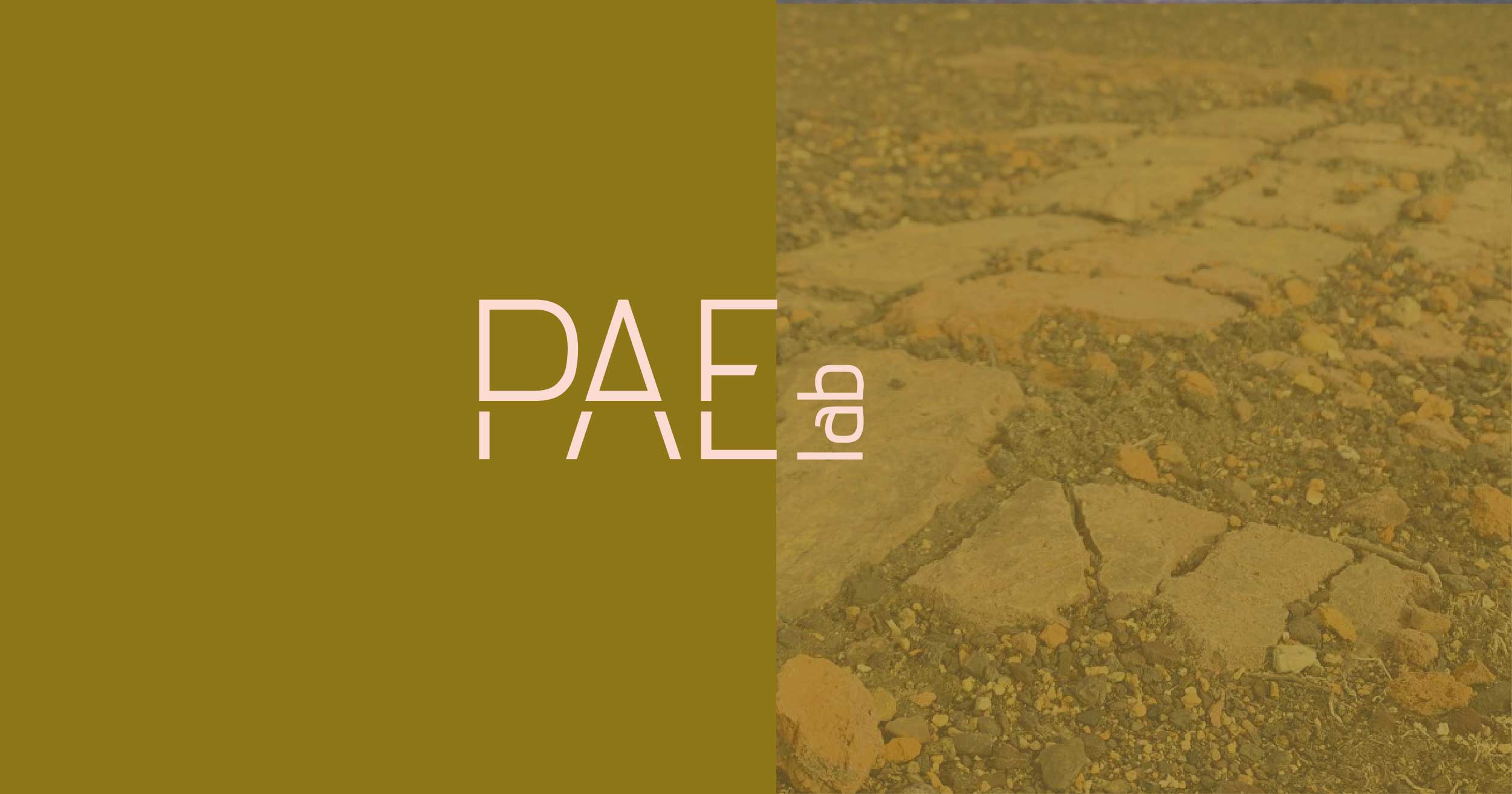 Proyecto PAE lab  | El alambre